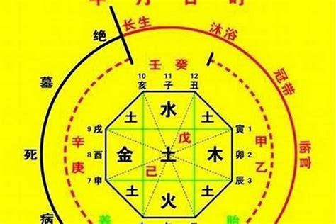 用神查詢|生辰八字算命、五行喜用神查詢（免費測算）